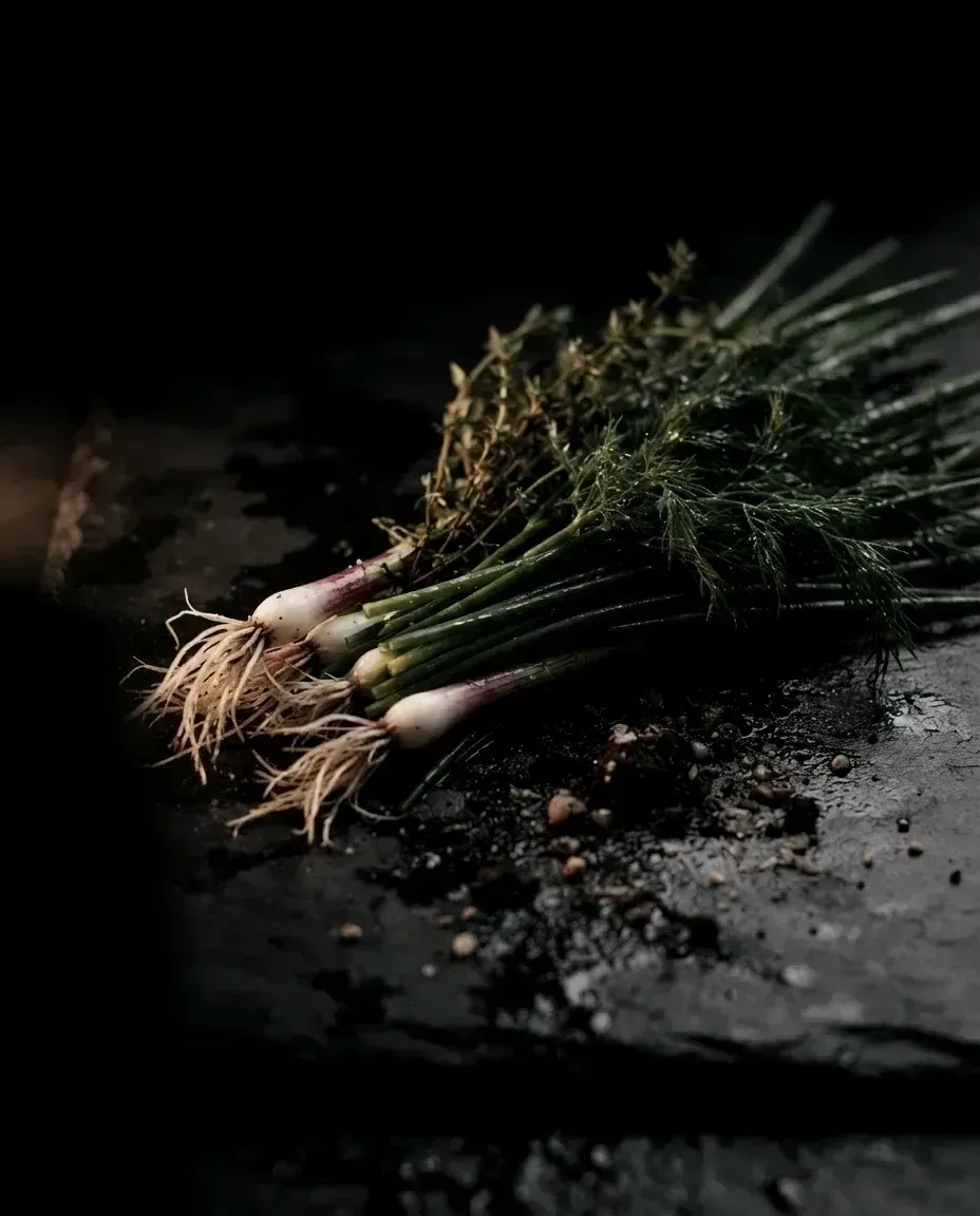 Just-cut spring onions, chives, dill and thyme with roots still on, laid on dark wet stone
